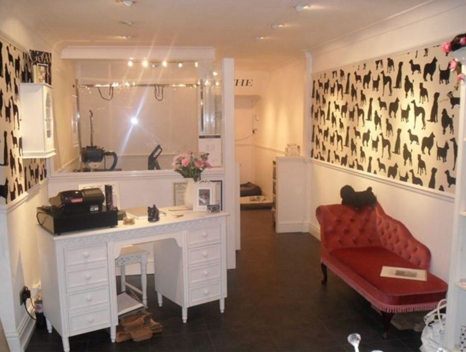 Груминг салон интерьер