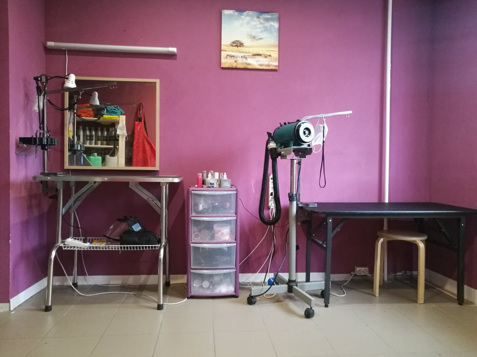 Груминг салон