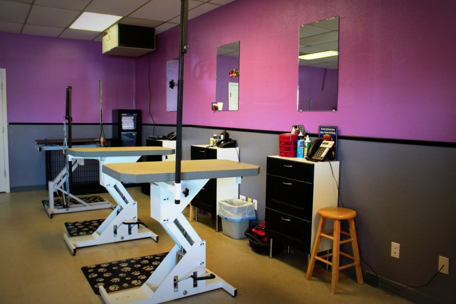 Груминг салон дизайн