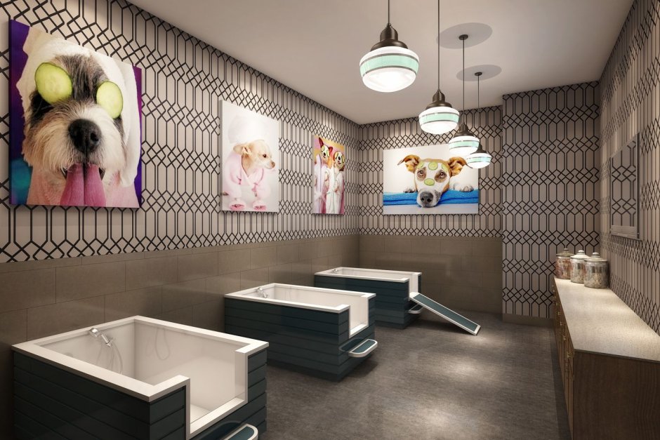 Груминг салон в Корее интерьер