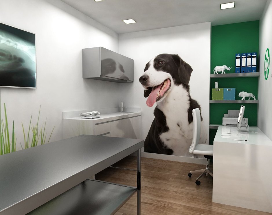 Интерьер ветеринарной клиники