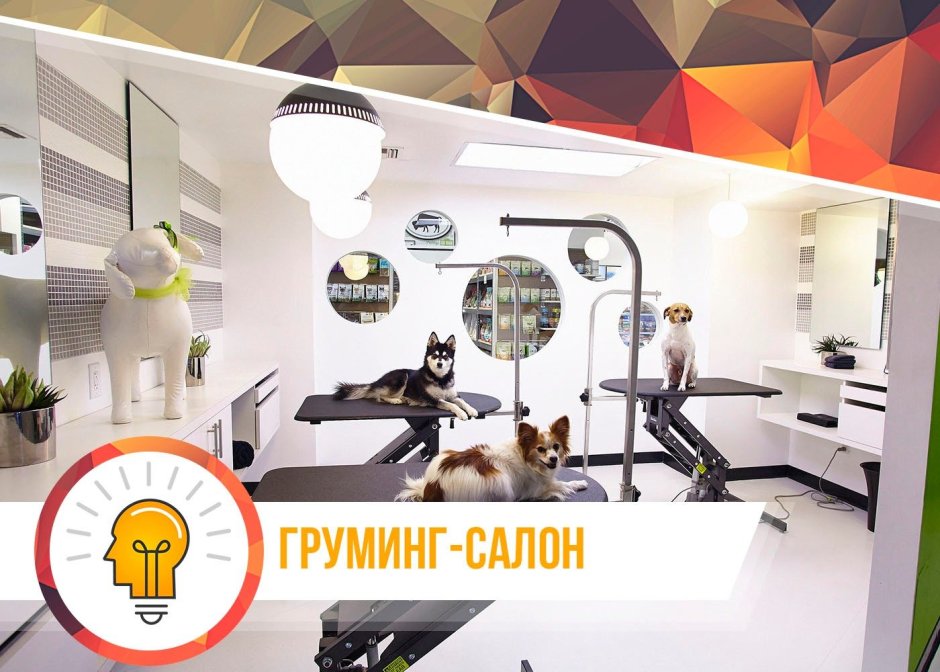 Интерьер ветеринарной клиники