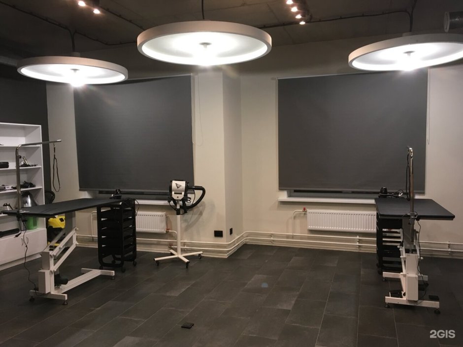 Груминг салон