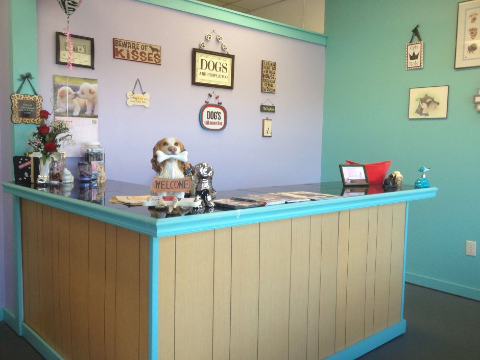 Зоосалон ресепшн