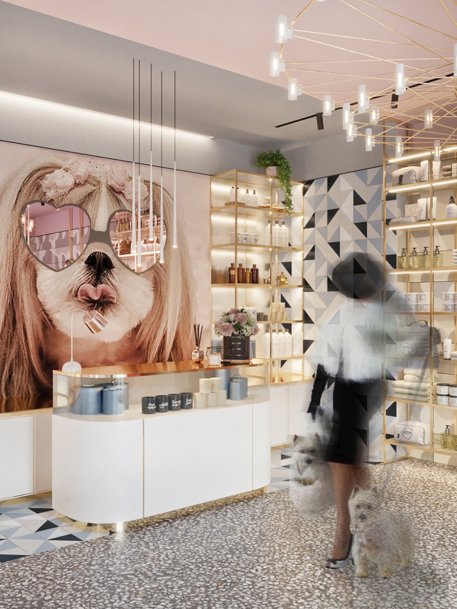 Груминг салон интерьер