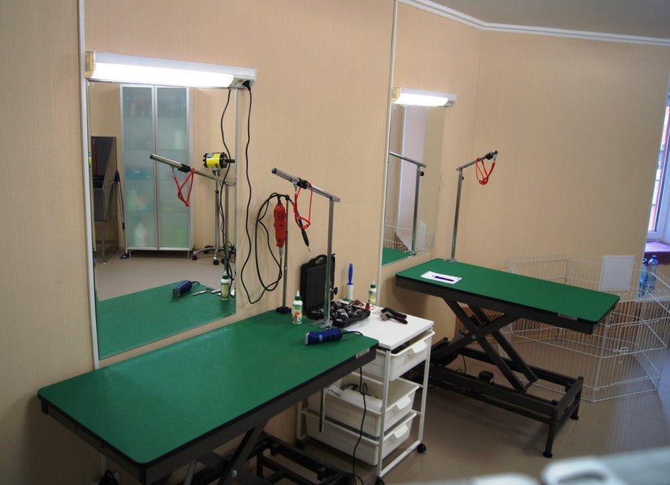 Груминг салон проект