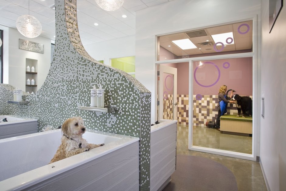 Груминг салон