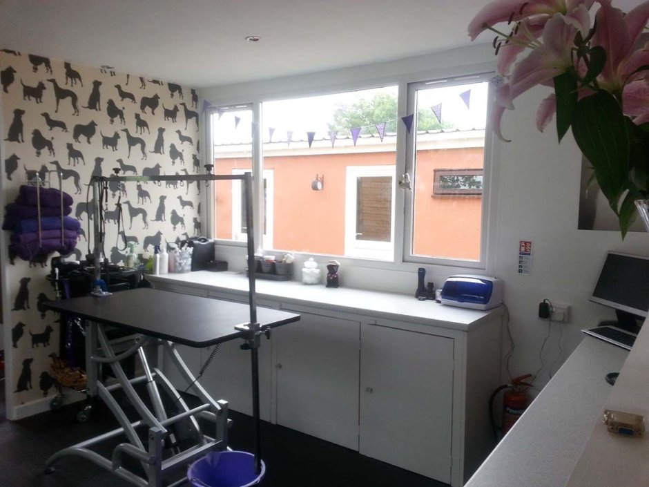 Фасады груминг салона