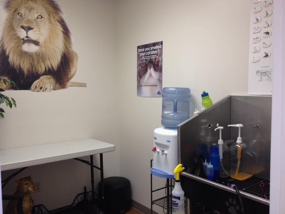 Шкаф для груминг салона