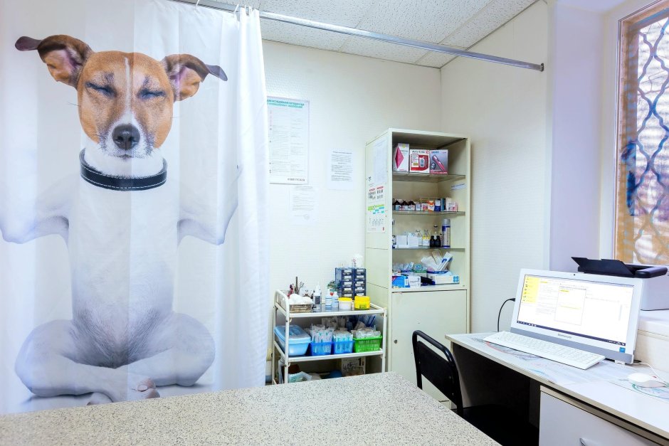 Добрый доктор Нижнекамск ветеринарная клиника