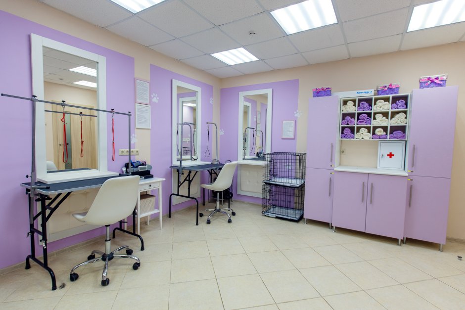 Салон груминга