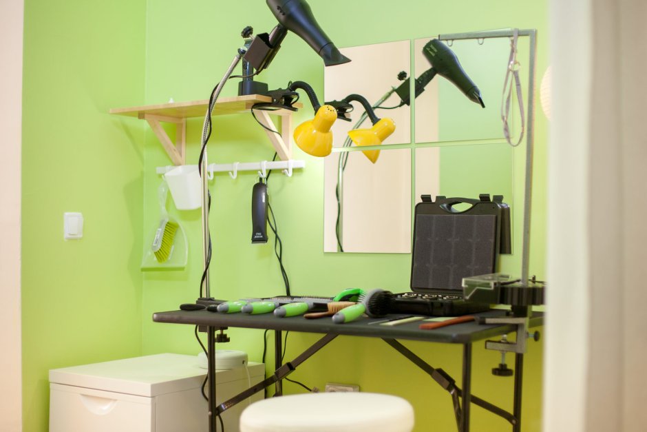 Салон груминга