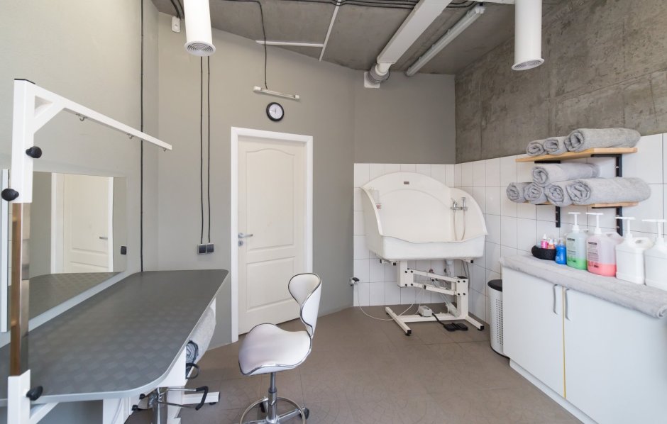 Кабинет груминга