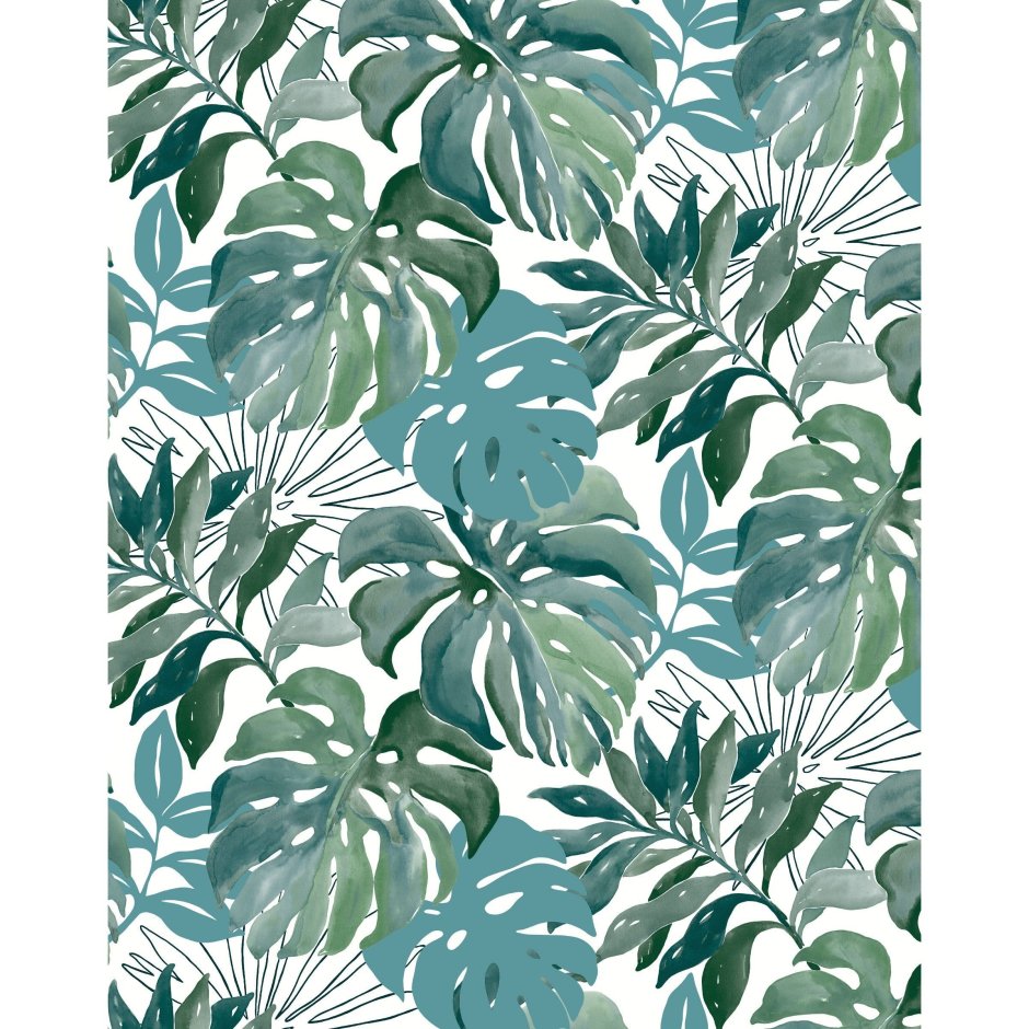 Монстера Леруа Мерлен