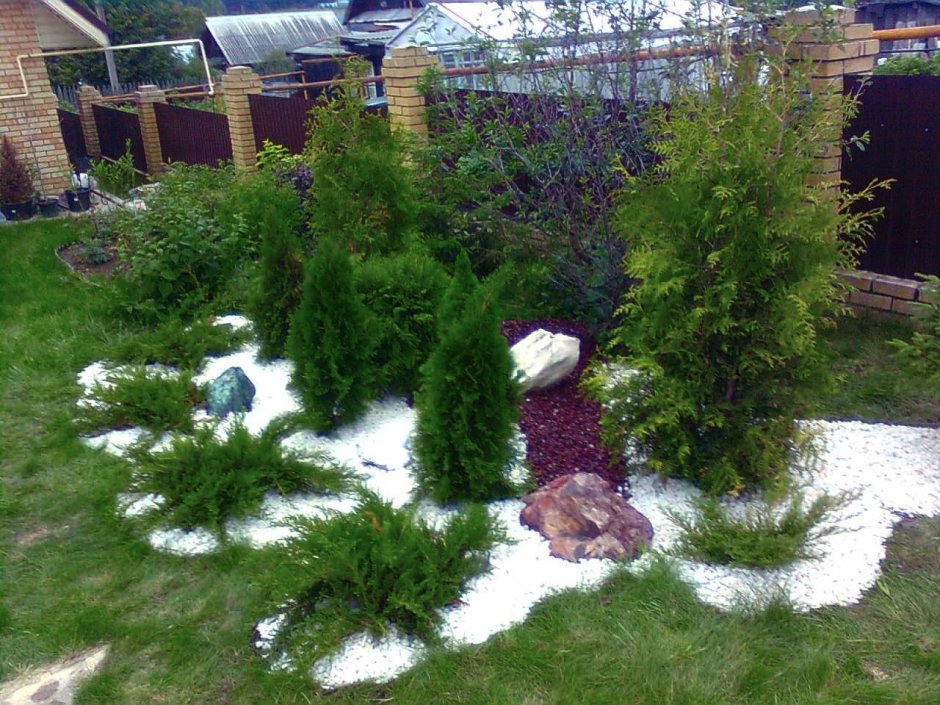 Хвойники в Лесном ландшафте