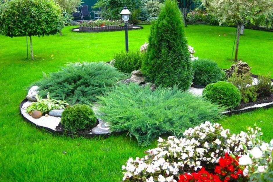 Миксбордер с елью и спиреей