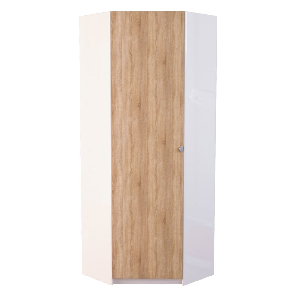 Распашной шкаф Мерлин 100