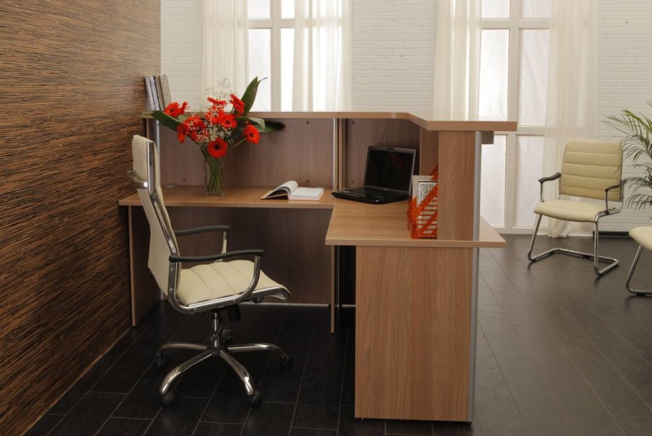 Васанта мебель ресепшн