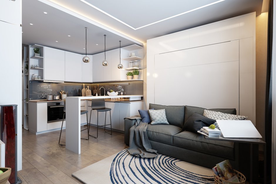 Кухня-гостиная 20 кв.м евродвушка