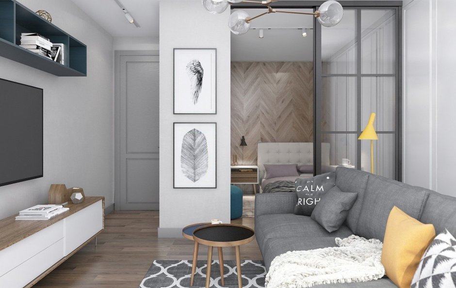 Кухня-гостиная 20 кв.м евродвушка