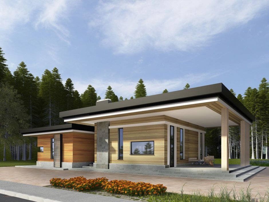 Проекты коттеджей одноэтажных современных