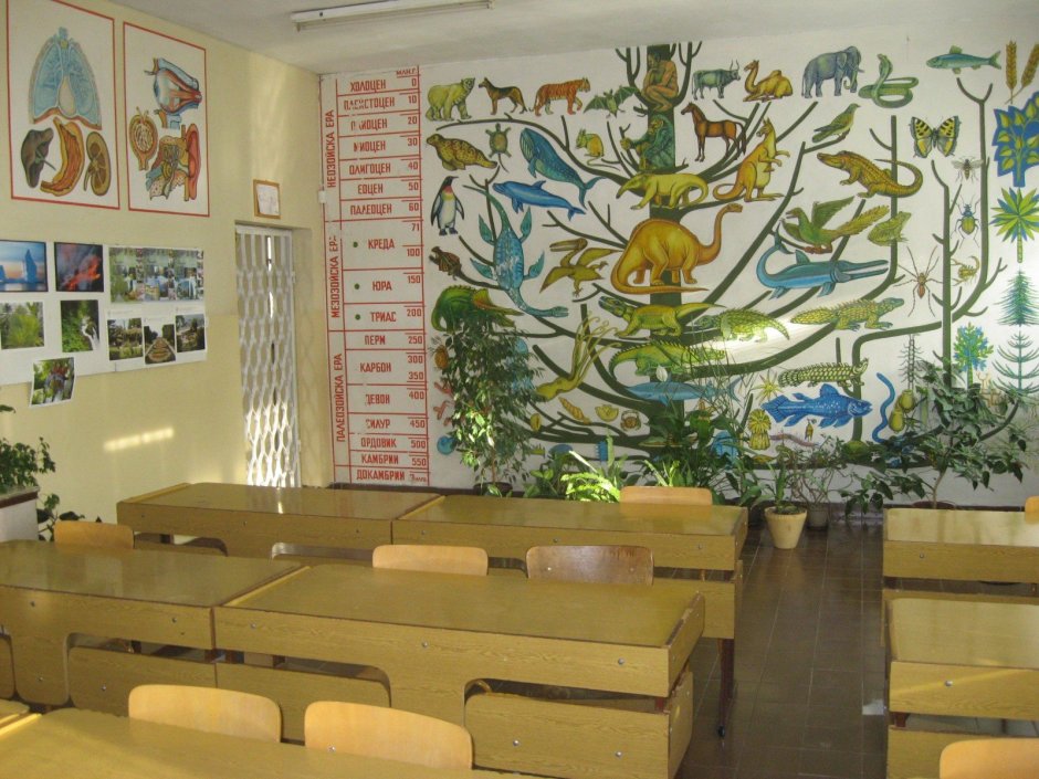 Декор школьного класса