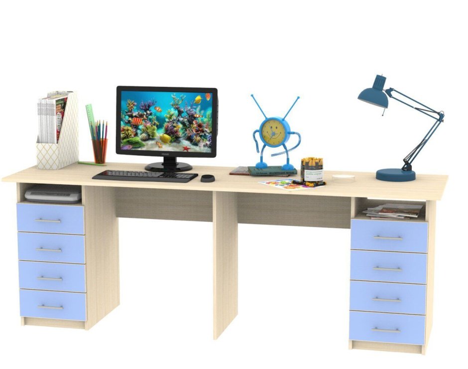Рабочее место для двух школьников