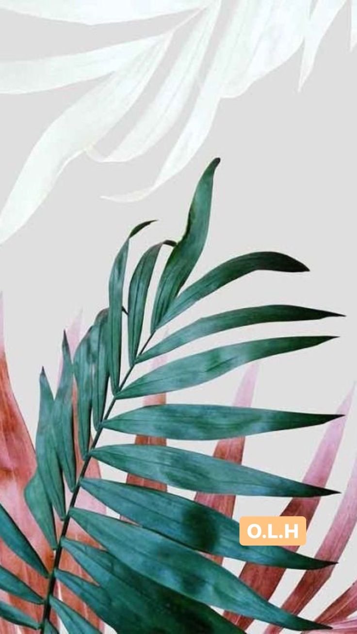 Тропические листья на розовом фоне