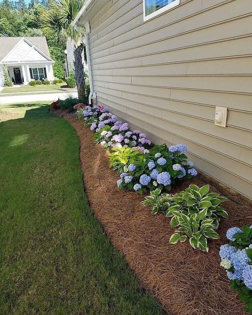 Озеленениетвдоль забора