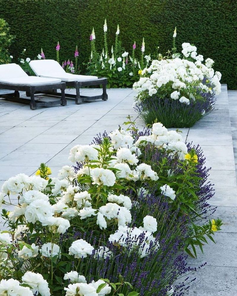 Вайт Гарден