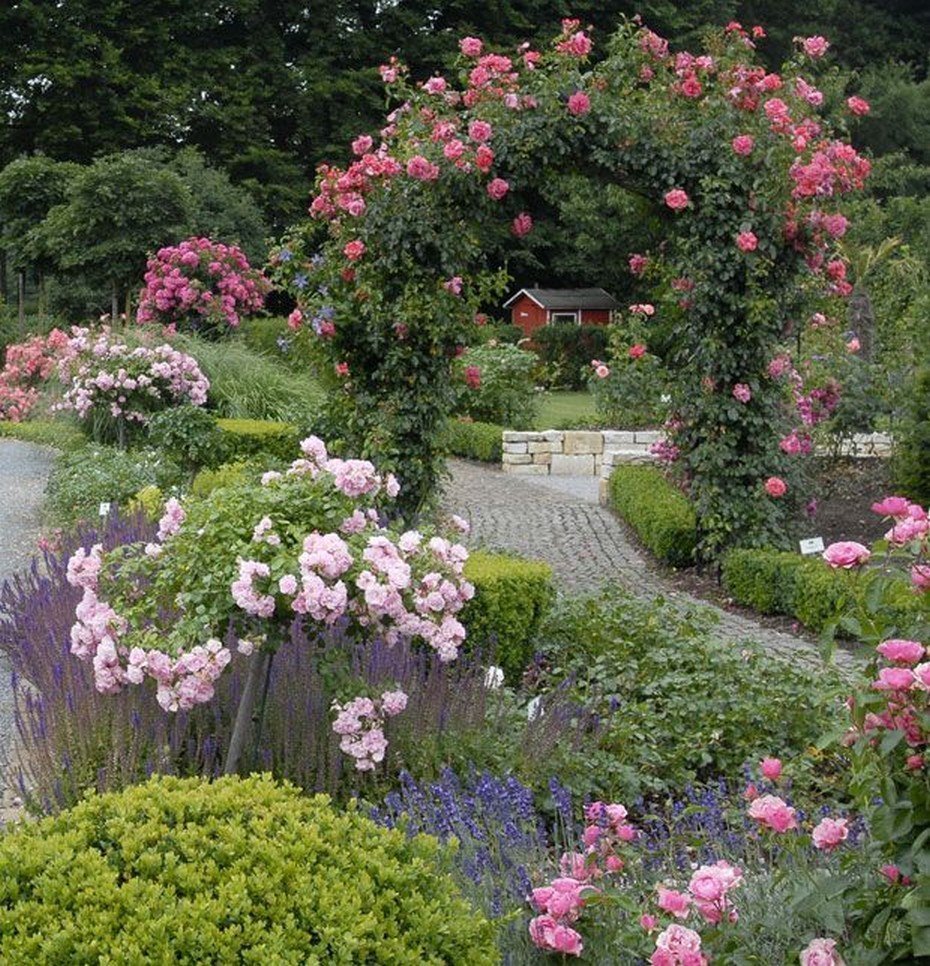 Роза Розария Югторсан