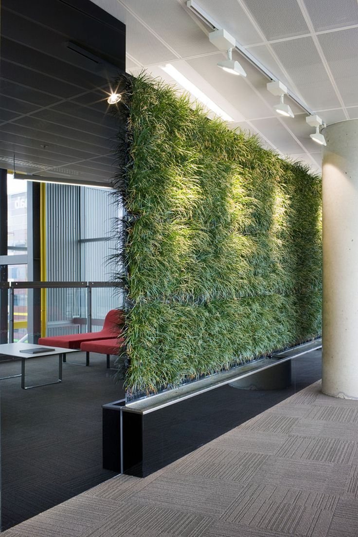 Стабилизированный мох в интерьере