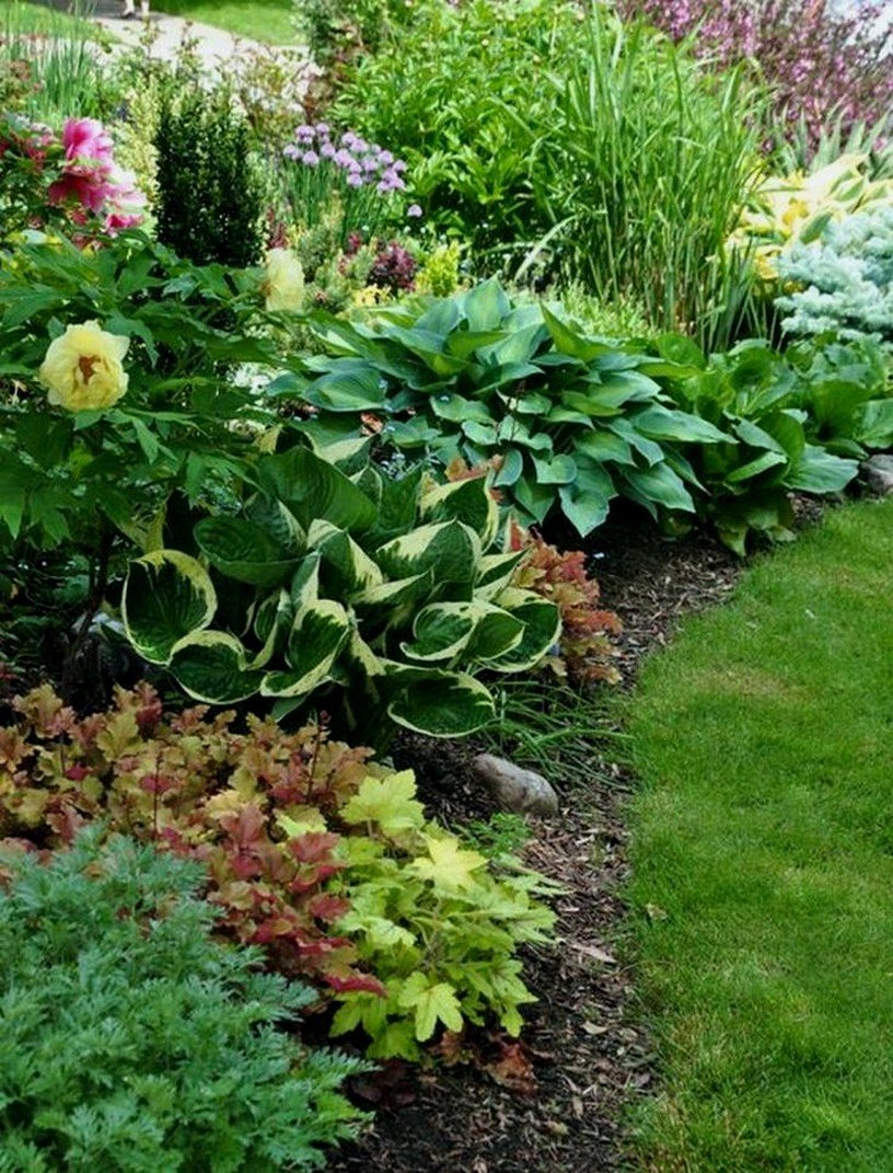 Клумба Хоста и астильба и лилейник