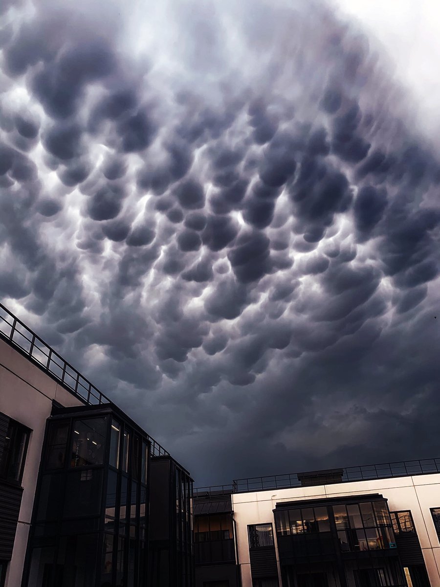 Облака мамматус