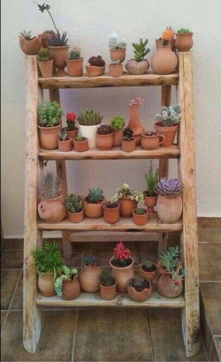 Полка для кактусов