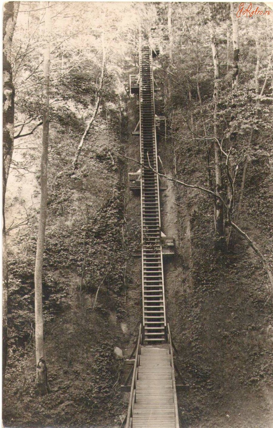 Летний Светлогорск