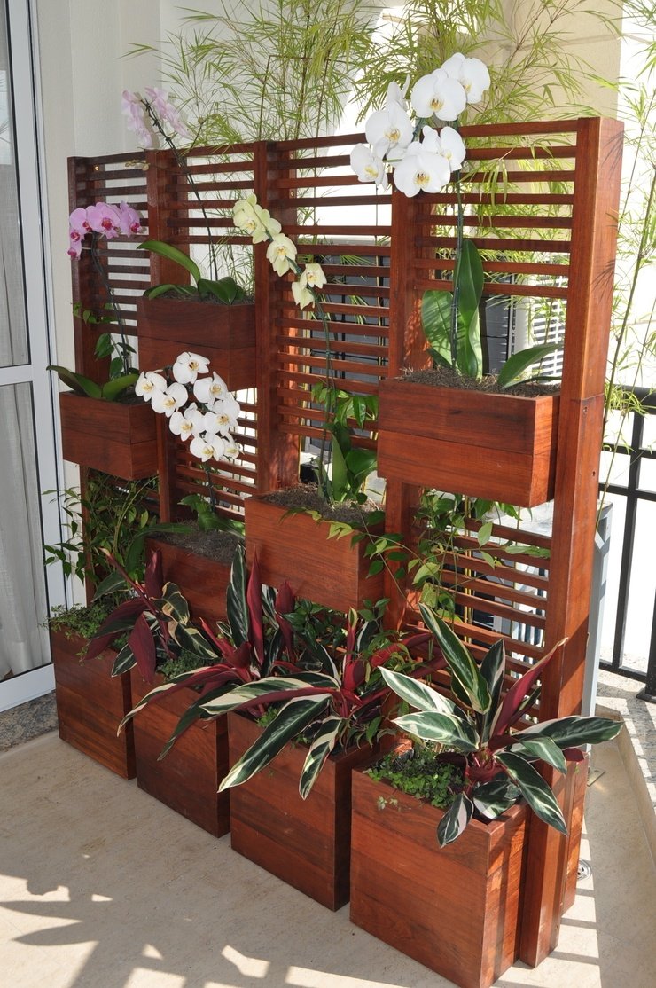 Орхидеи в вертикальном озеленении