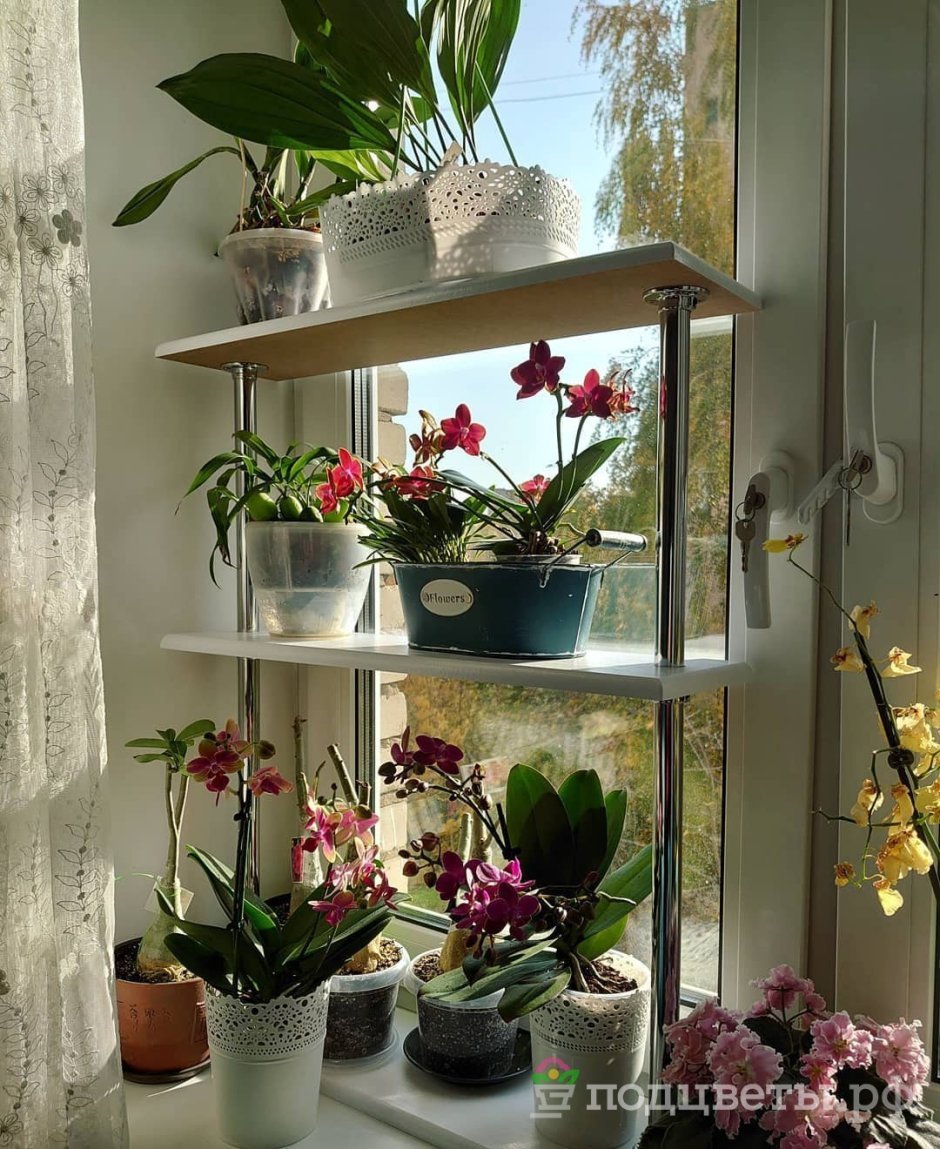 Чако 3у подставка