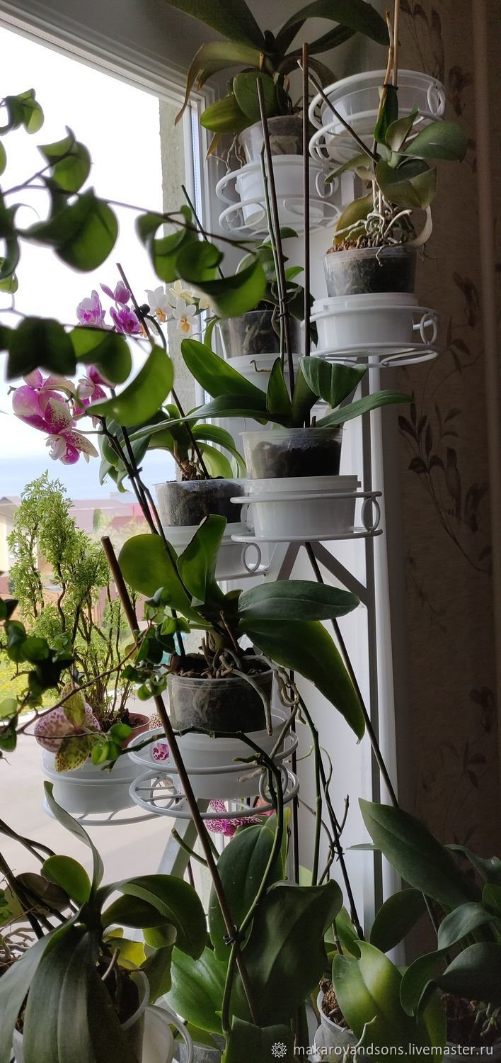 Стеллаж для орхидей