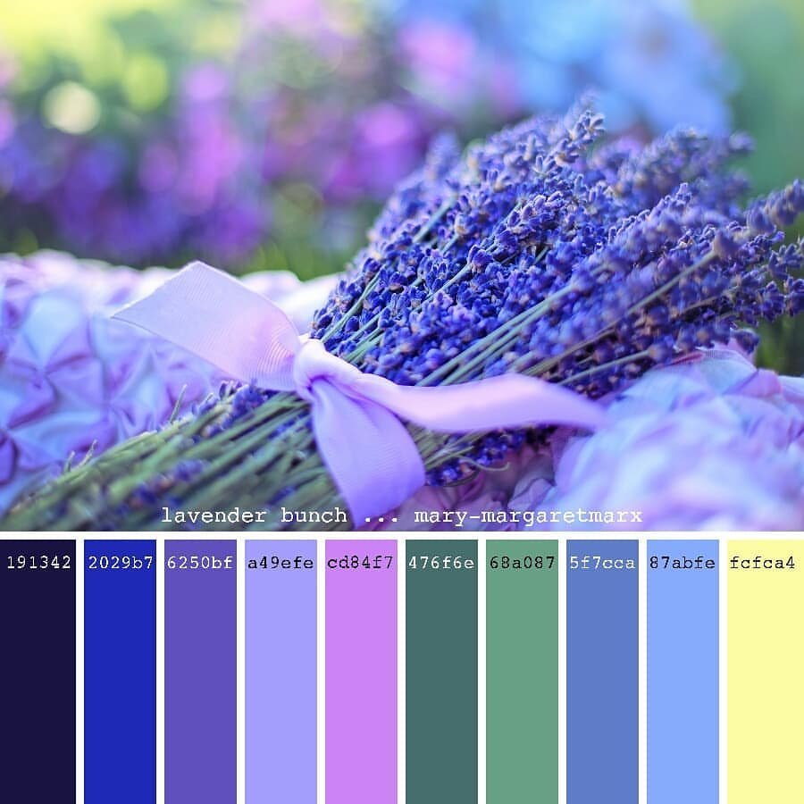 Палитра Лаванда Прованс