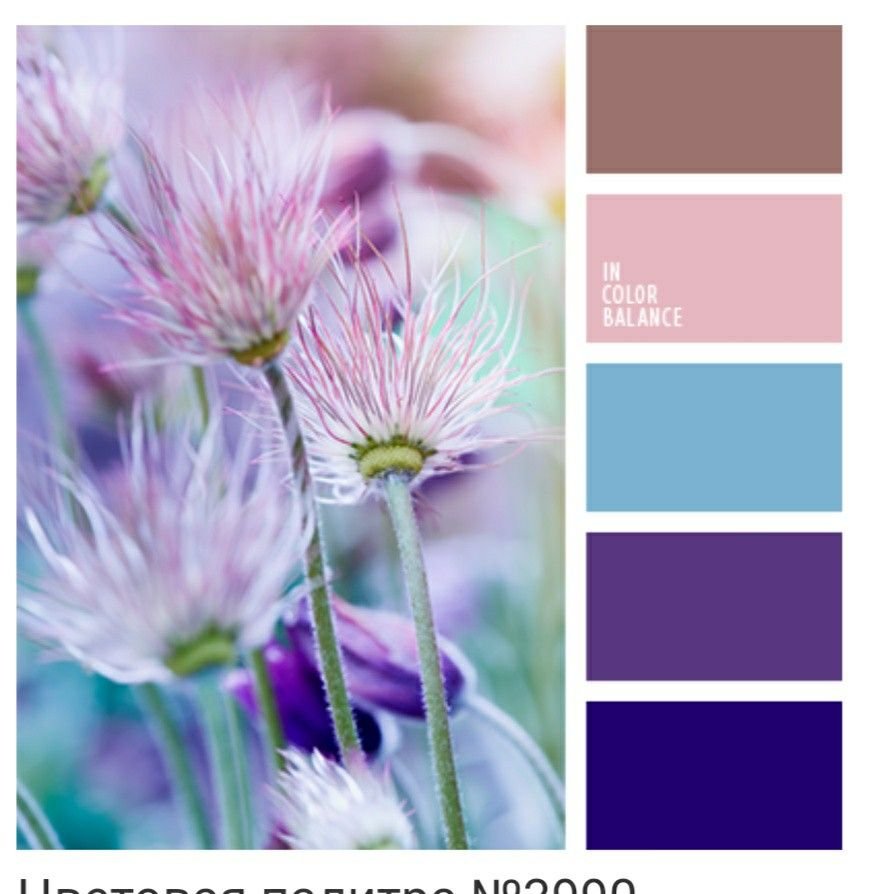 Палитра бежевый синий розовый