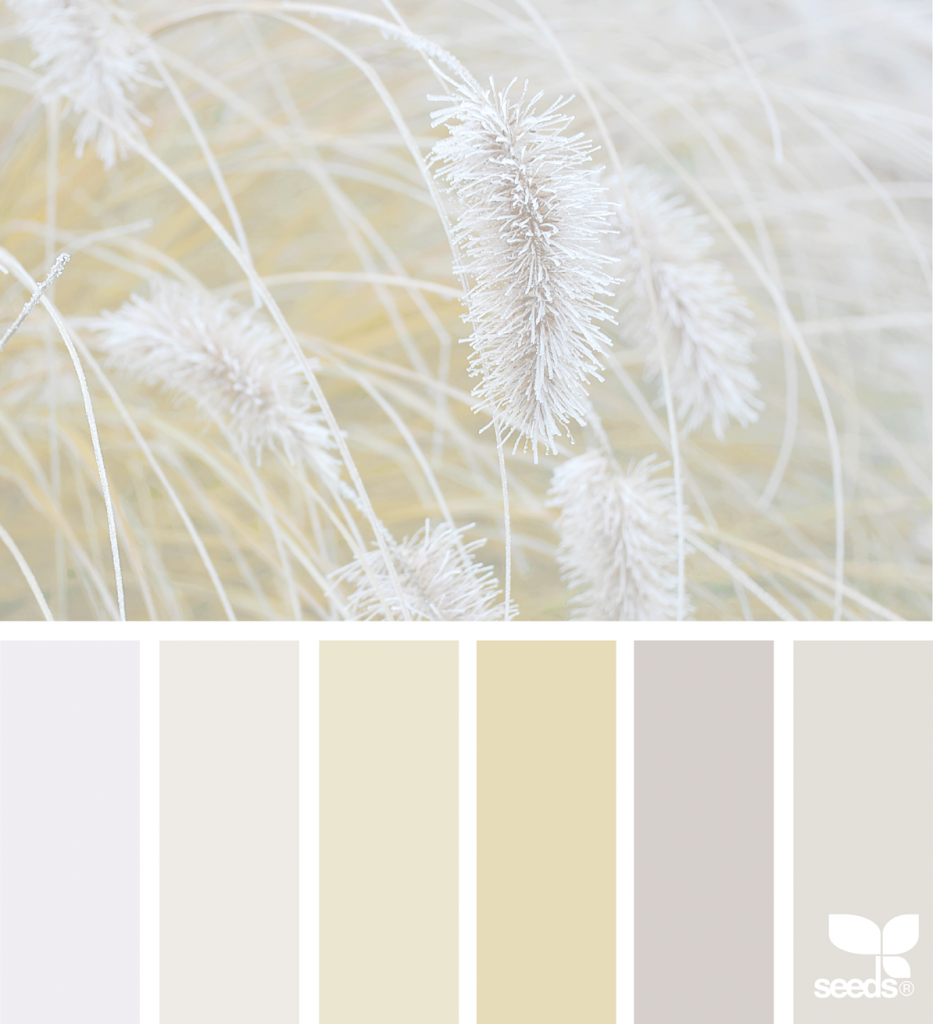 Сочетание светло серого