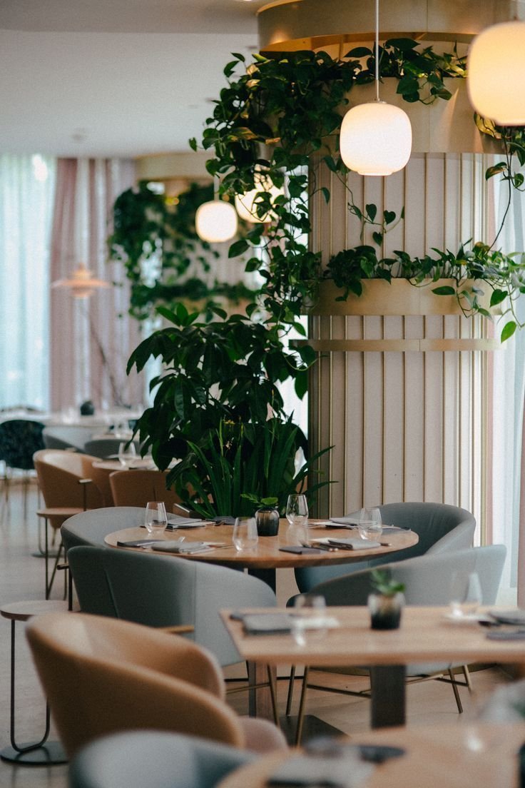 Экостиль в интерьере кафе