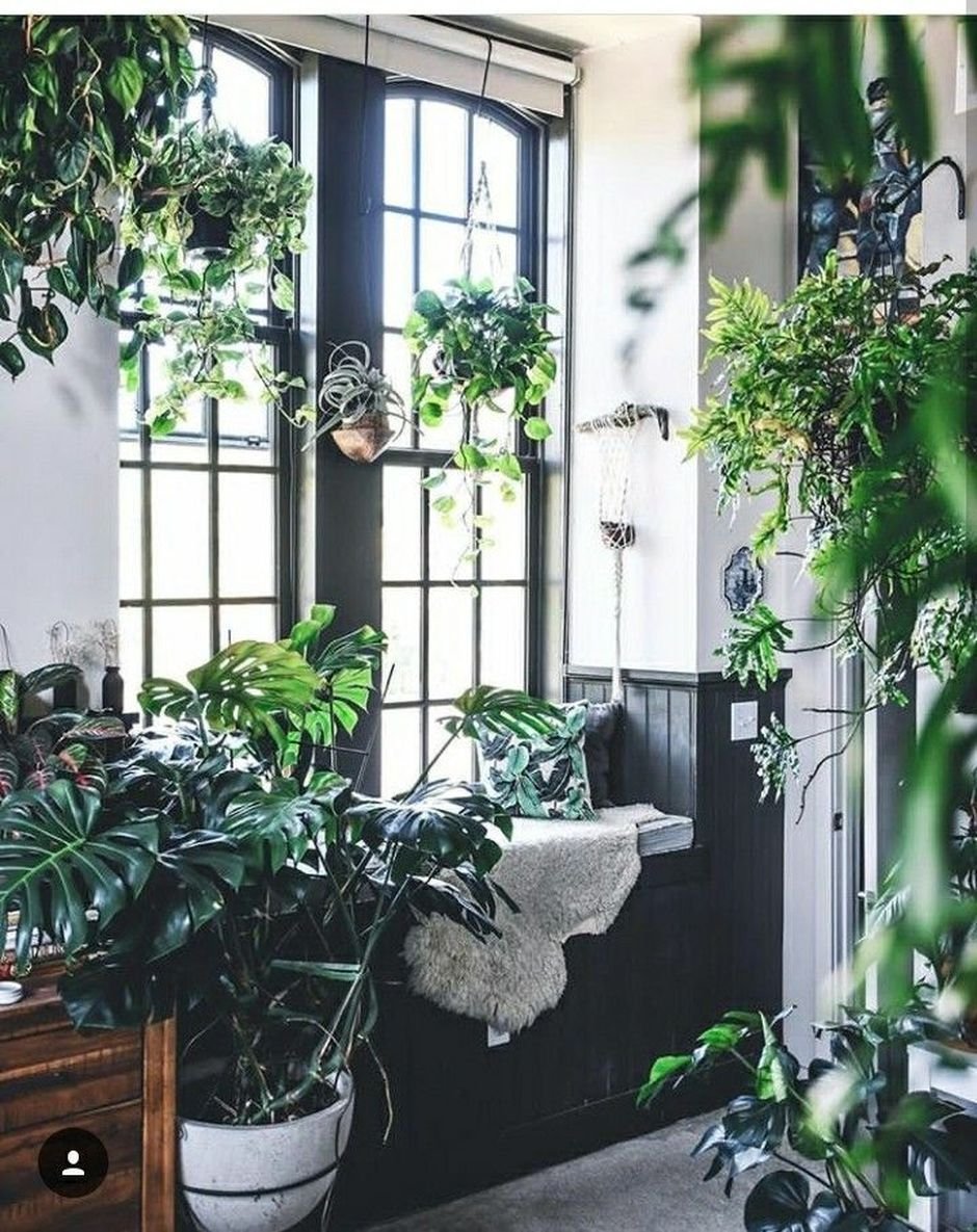 Балкон Урбан Джангл