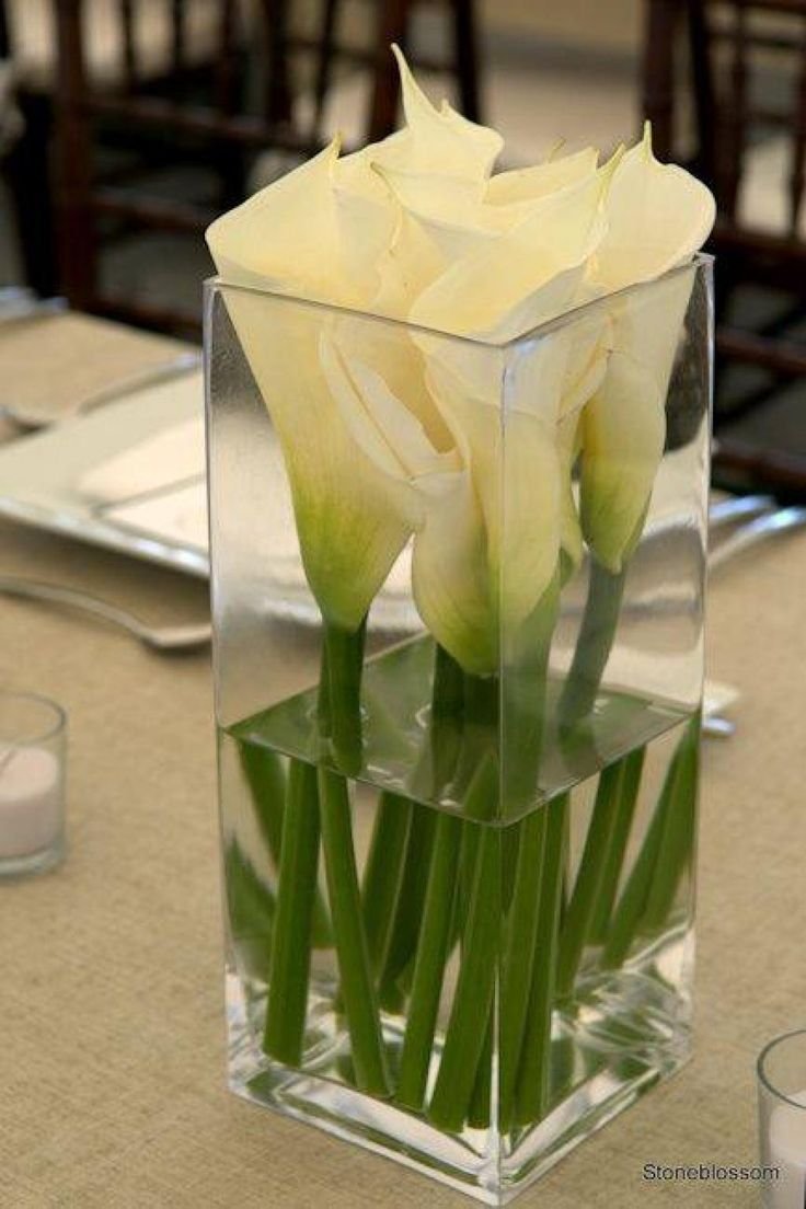 Каллы в стеклянной вазе