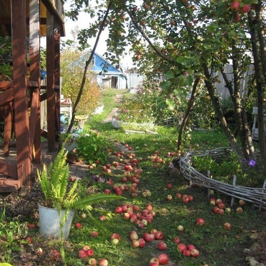 Дом с фруктовым садом