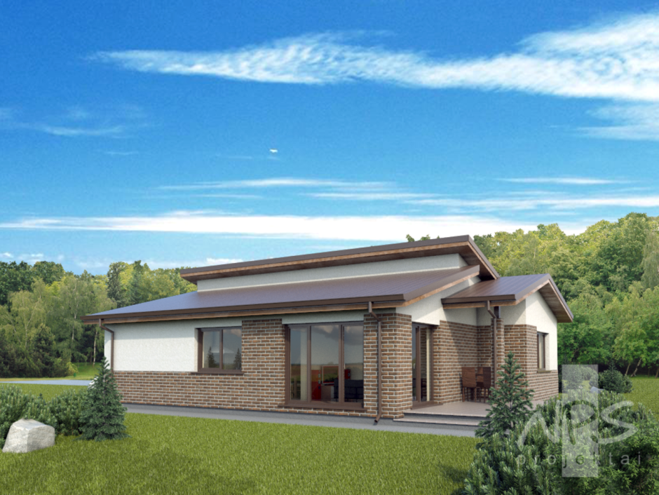 Современный одноэтажный коттедж с террасой и гаражом