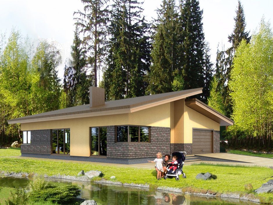 Дом с односкатной крышей в стиле лофт