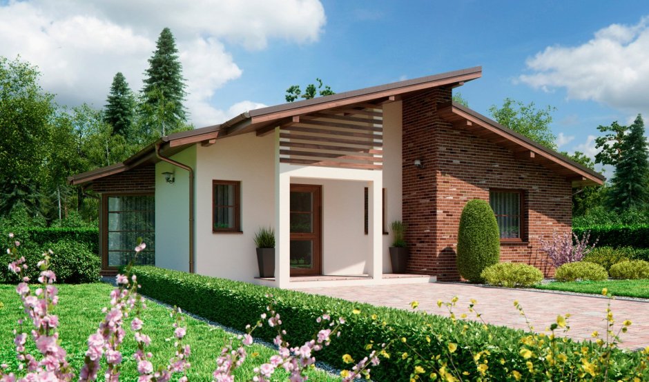 Одноэтажный дом с разноуровневой крышей