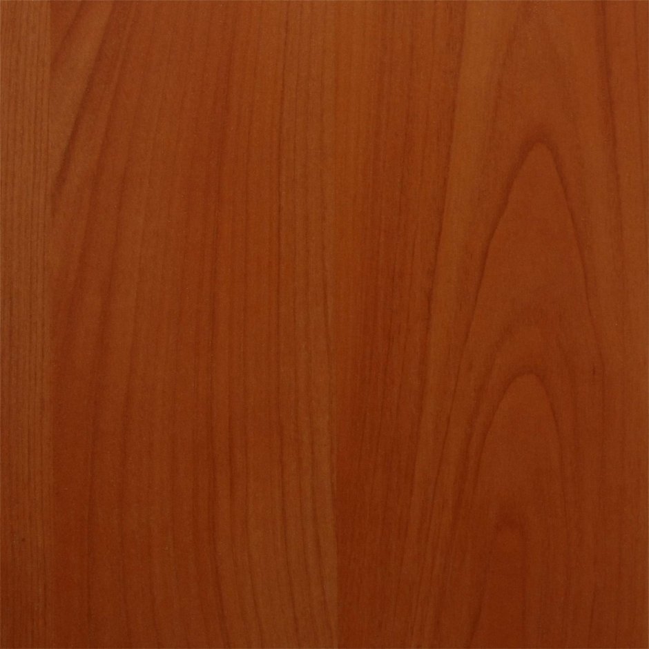 Вишня Оксфорд u9503